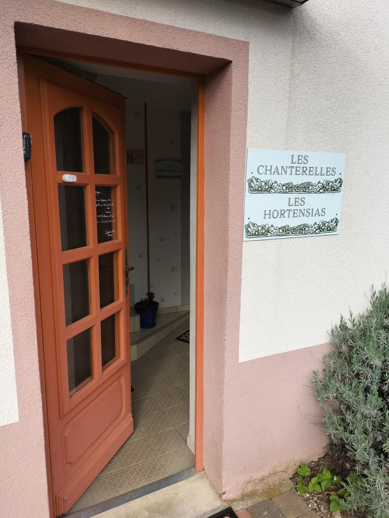 Les Hortensias La Souris Des Champs Étival-Clairefontaine Buitenkant foto