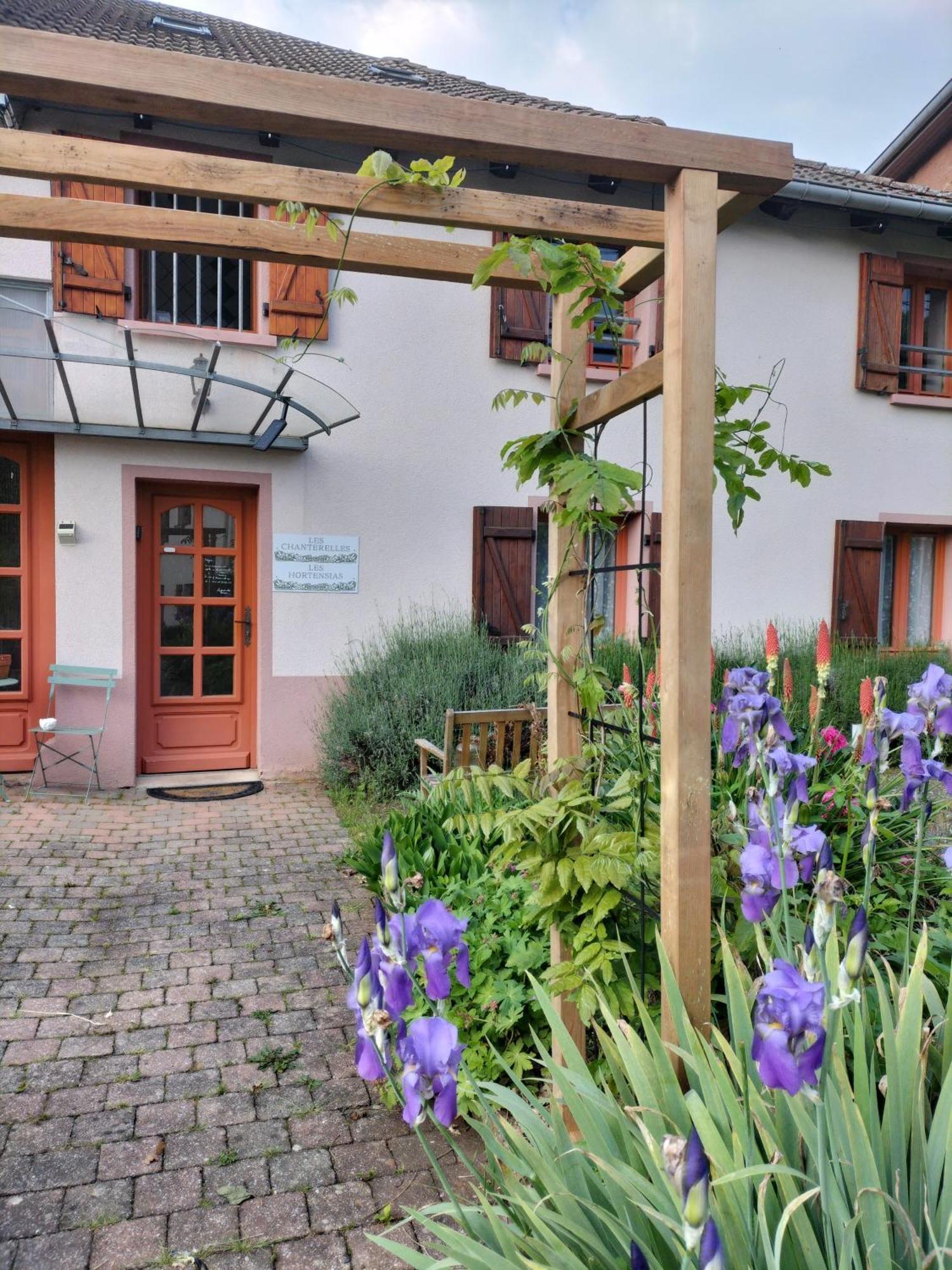 Les Hortensias La Souris Des Champs Étival-Clairefontaine Buitenkant foto